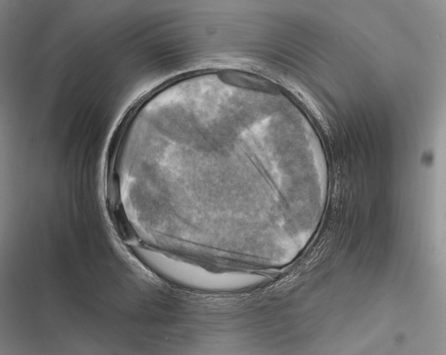 X0000116801080201001151117
