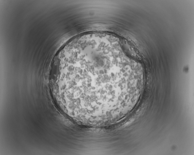 X0000116801081201001151117