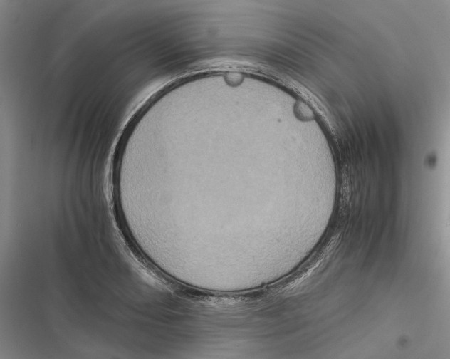 X0000116801082201001151117