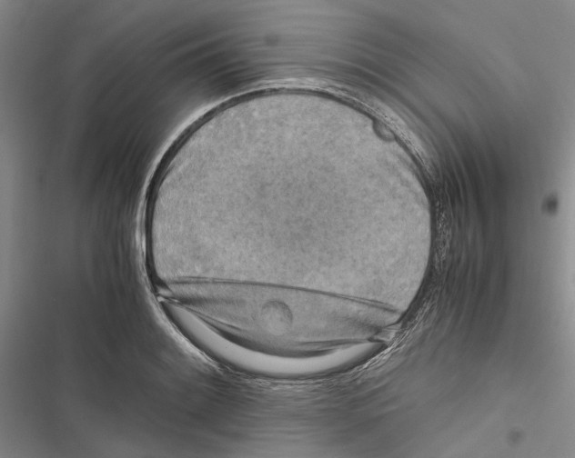 X0000116801084201001151117