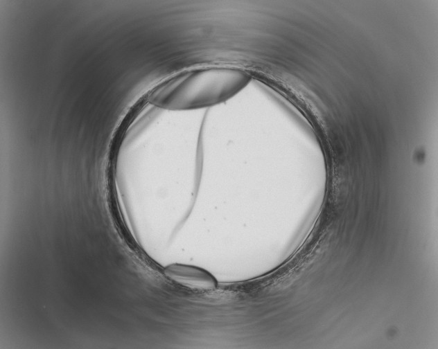 X0000116801085201001151117
