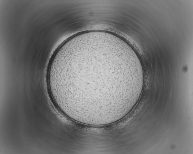 X0000116801086201001151117