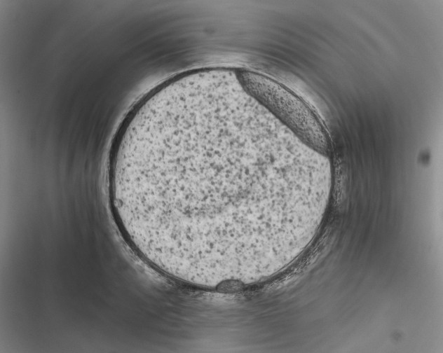 X0000116801088201001151117