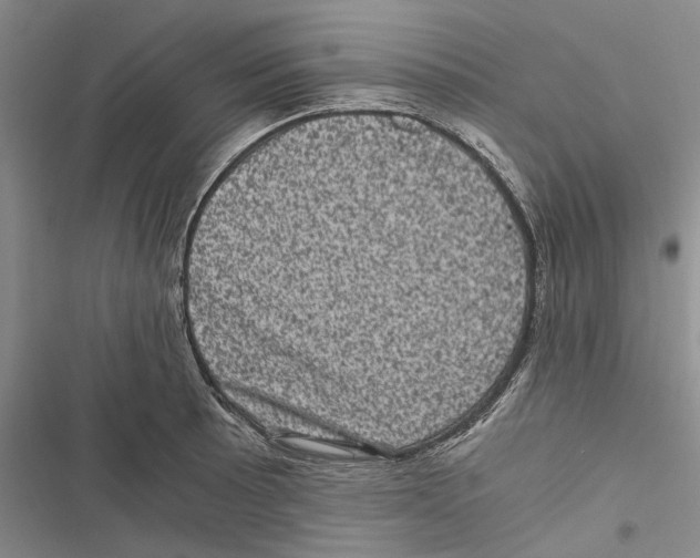 X0000116801089201001151117