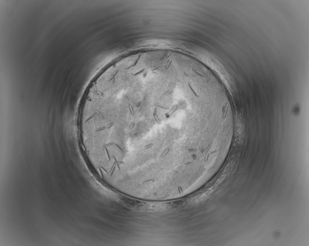X0000116801090201001151117