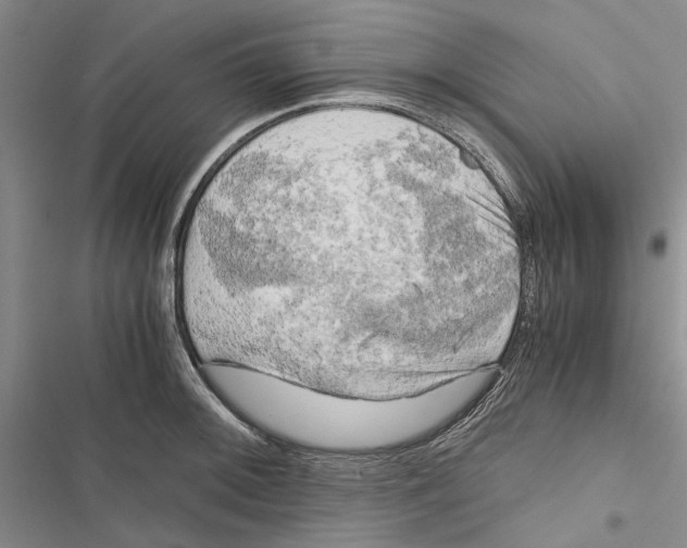 X0000116801092201001151117