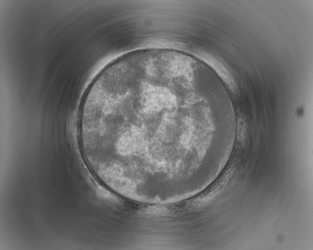 X0000116801094201001151117
