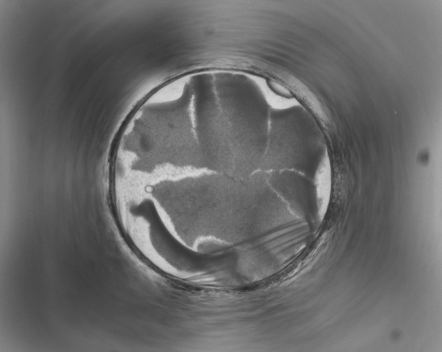 X0000116801095201001151117