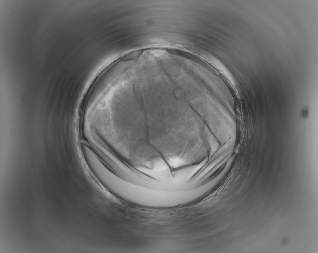 X0000116801096201001151117