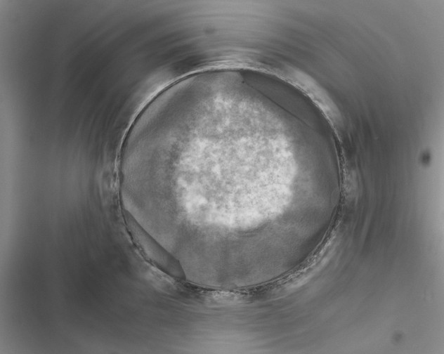 X0000116801097201001151117
