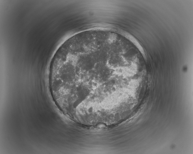 X0000116801099201001151117