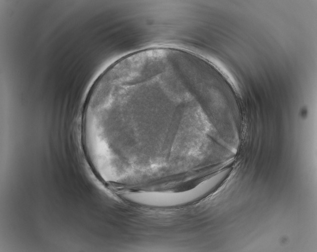 X0000116801100201001151117