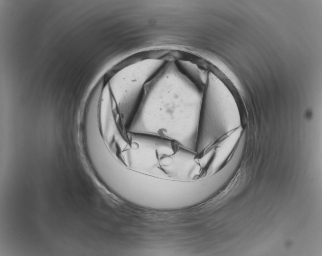 X0000116801101201001151117