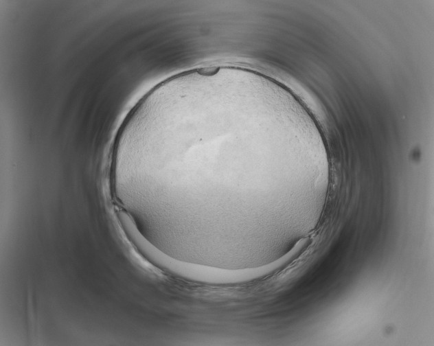 X0000116801102201001151117