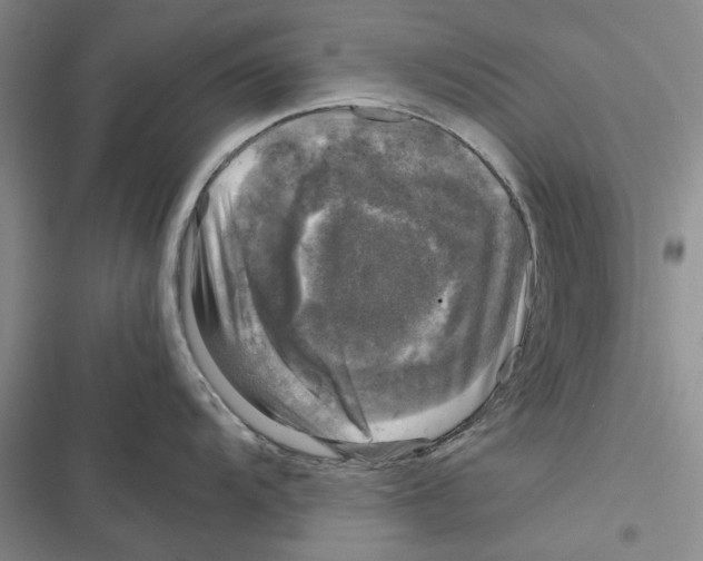 X0000116801104201001151117