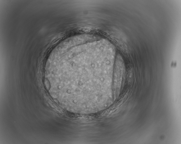 X0000116801105201001151116