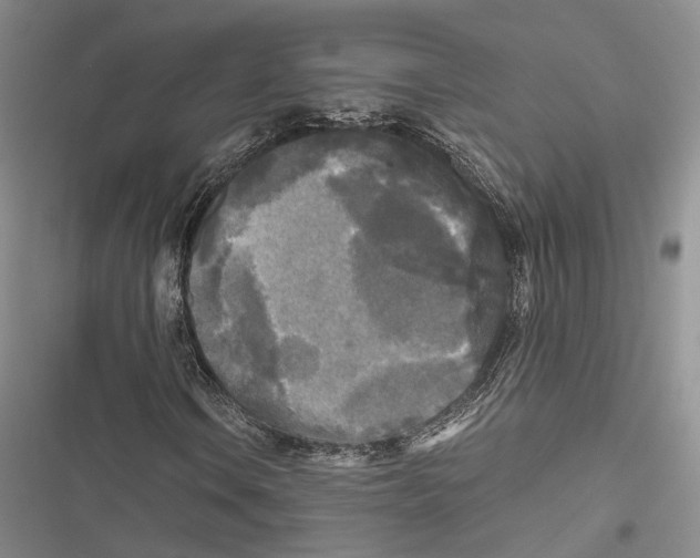 X0000116801106201001151116