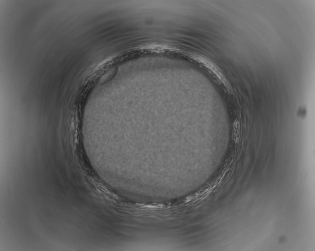X0000116801111201001151117