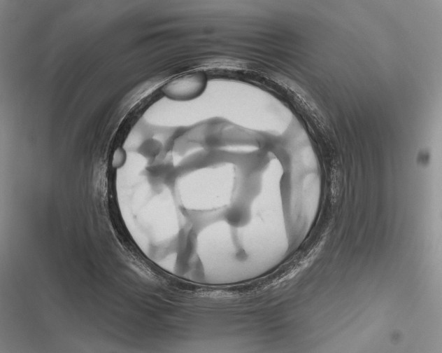 X0000116801113201001151117