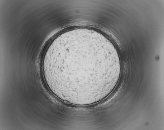 X0000116801114201001151117