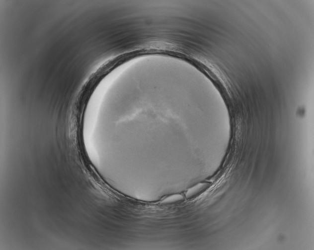X0000116801115201001151117