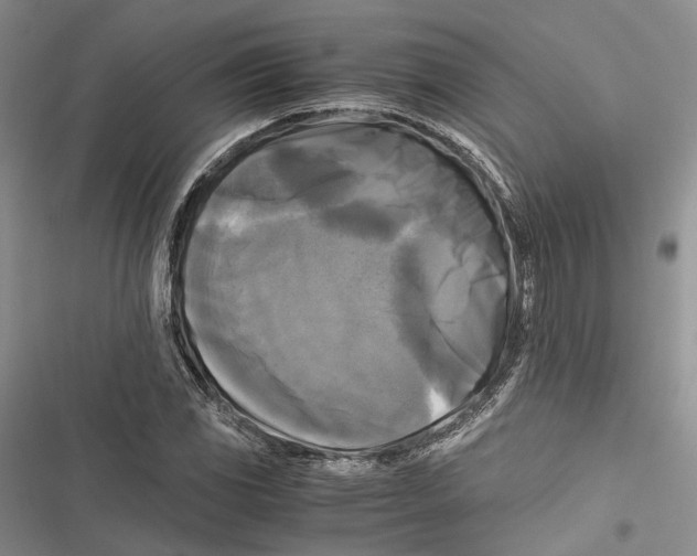 X0000116801117201001151117