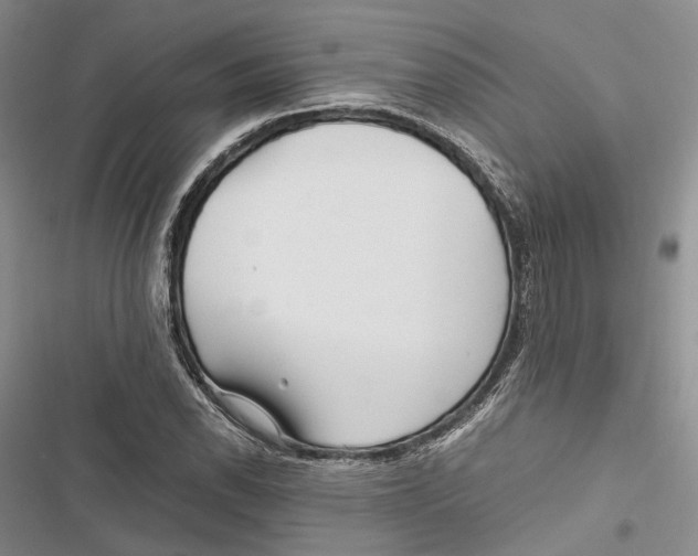 X0000116801118201001151117