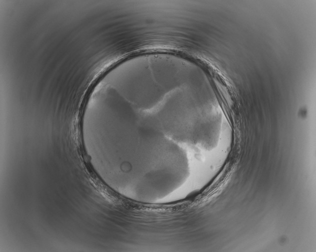 X0000116801121201001151117