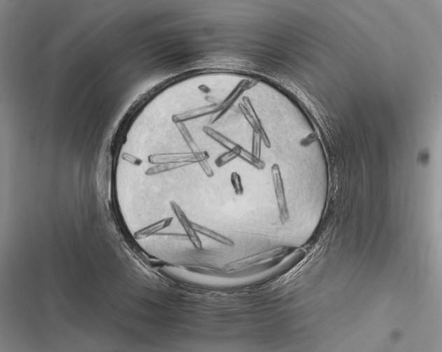X0000116801123201001151117