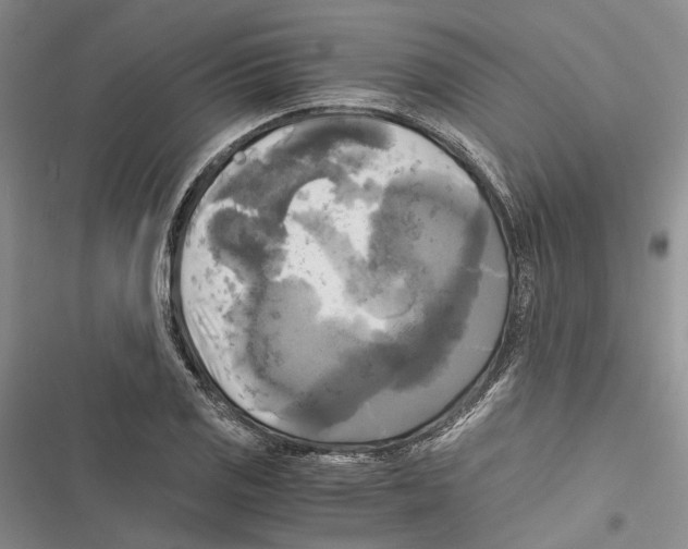 X0000116801125201001151117