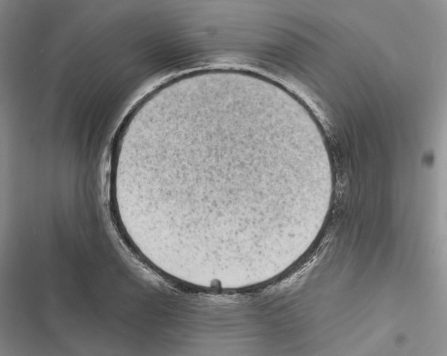 X0000116801126201001151117