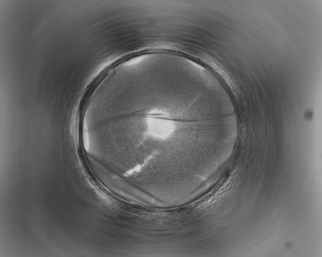X0000116801127201001151117