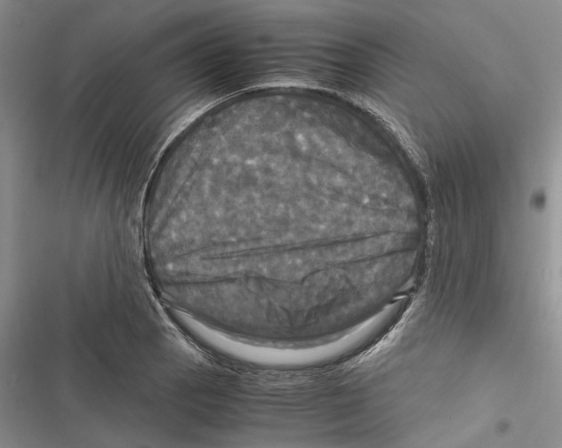 X0000116801129201001151117