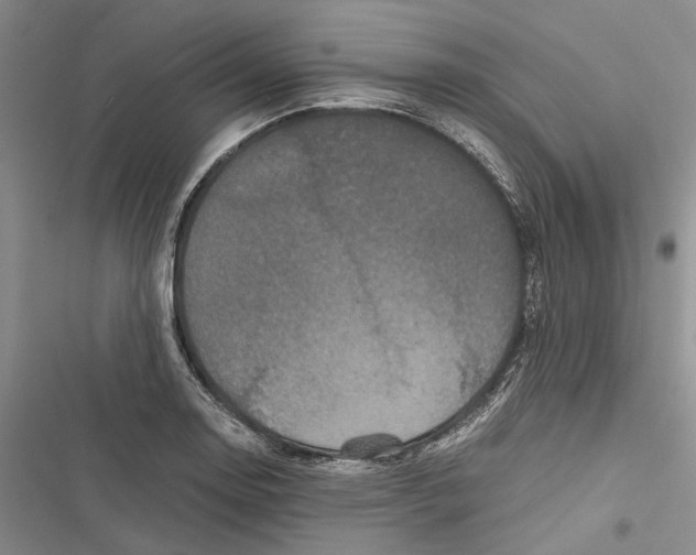 X0000116801130201001151117