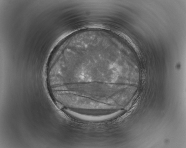 X0000116801133201001151117