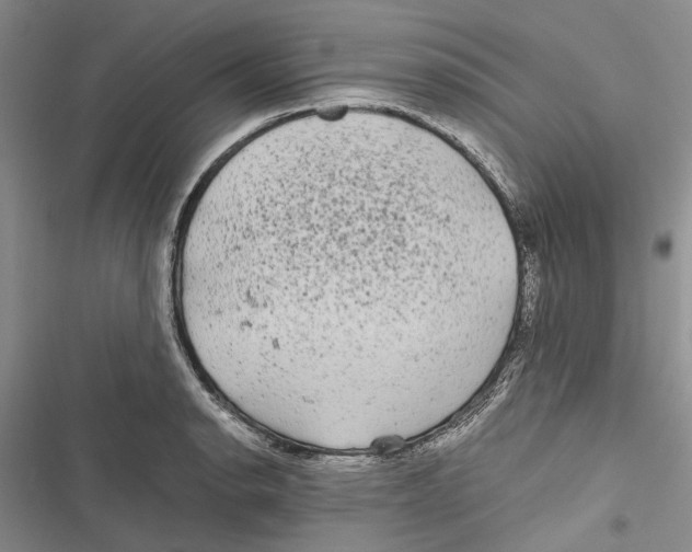 X0000116801134201001151117