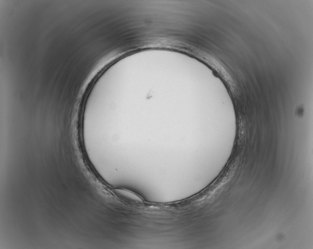X0000116801138201001151117