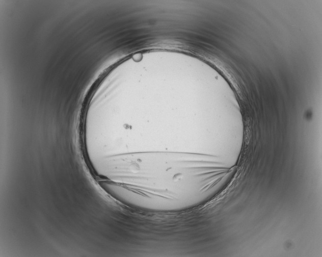 X0000116801139201001151117