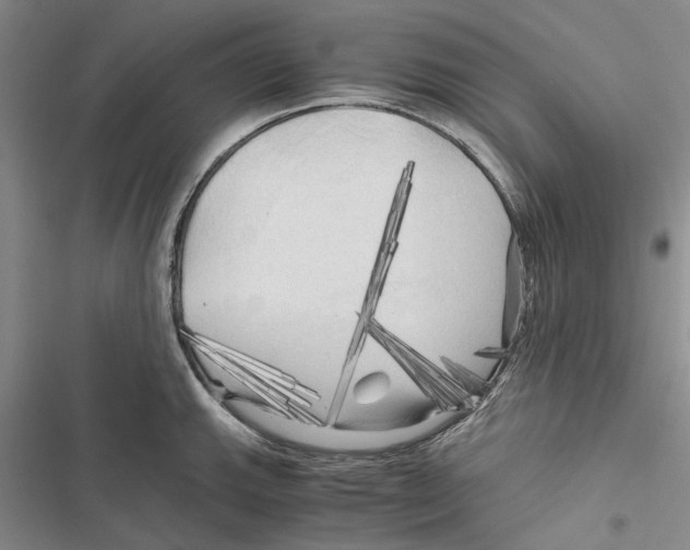 X0000116801143201001151117