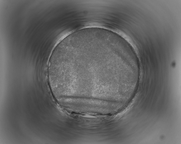X0000116801145201001151117