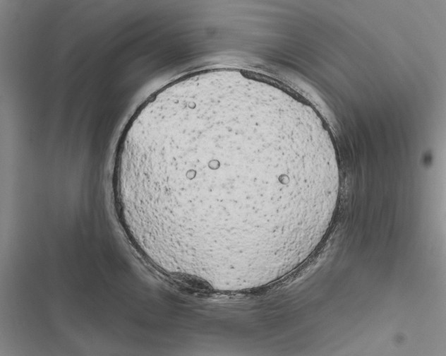 X0000116801146201001151117