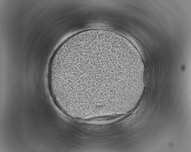X0000116801147201001151117