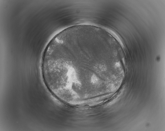 X0000116801149201001151117