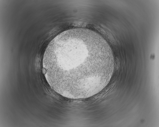 X0000116801154201001151116