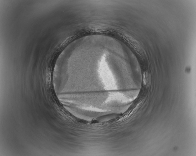 X0000116801155201001151116