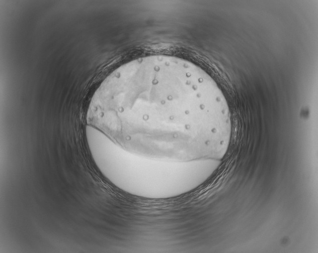 X0000116801156201001151116