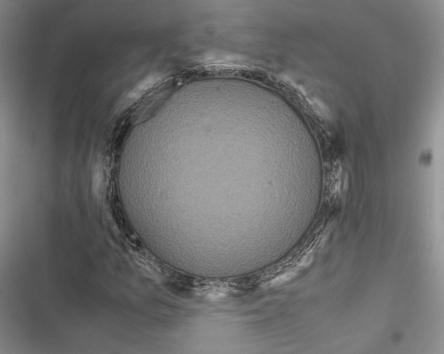 X0000116801157201001151116