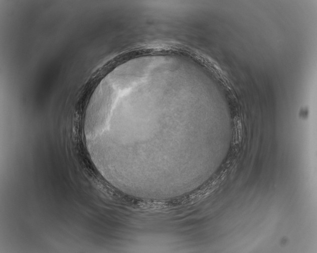 X0000116801158201001151116