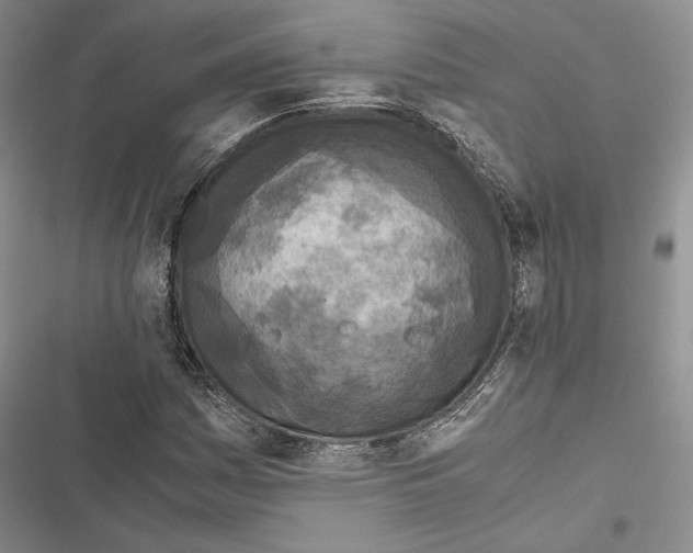 X0000116801161201001151116