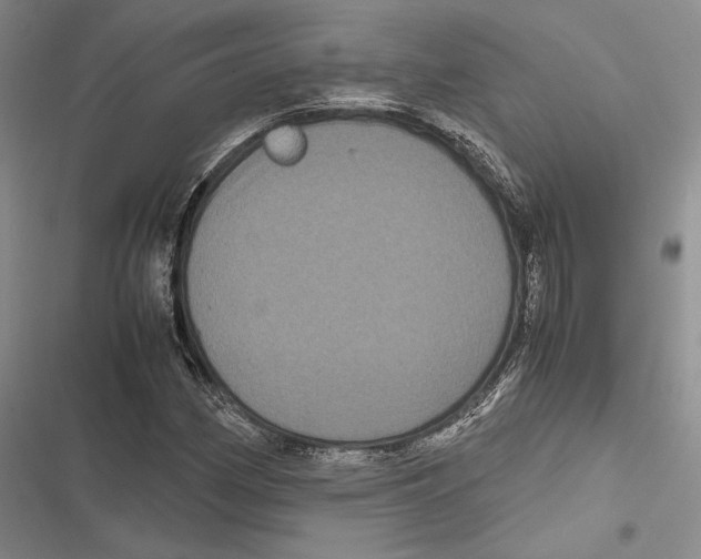 X0000116801162201001151116